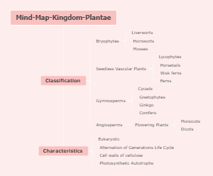 Mind Map Kingdom Plantae