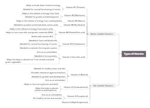 Types of Vitamins