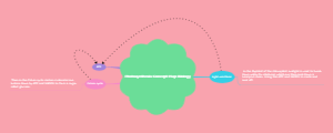 Photosynthesis Concept Map