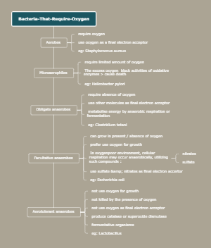 Bacteria That Require Oxygen