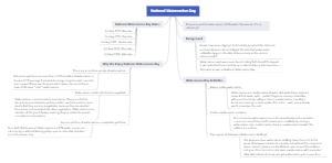 National Watermelon Day