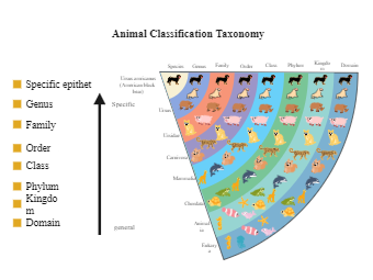 Taxonomy Classification Chart