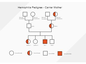 Hemophilia Pedigree - Carrier Mother