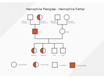 Hemophilia Pedigree - Hemophilia Father