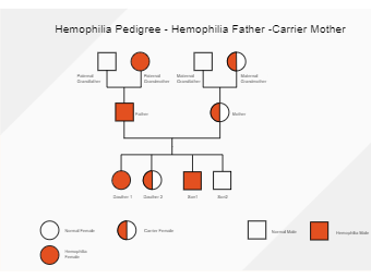 Hemophilia Pedigree