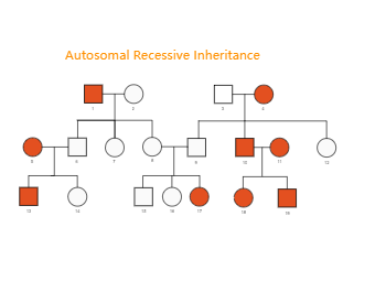 Autosomal Recessive Inheritance