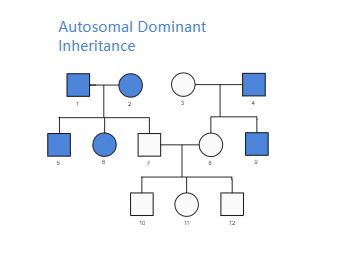 Autosomal Dominant Inheritance