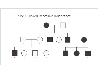 Sex(X)-linked Recessive Inheritance