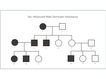 Sex Influenced Male Dominant Inheritance