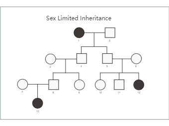 Sex Limited Inheritance