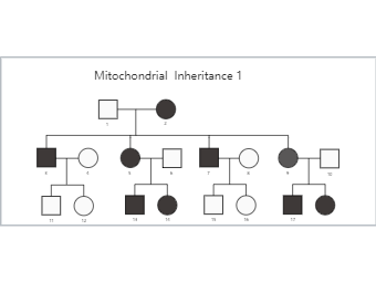 Mitochondrial  Inheritance 1