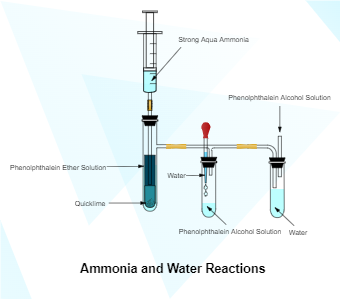 氨和水的反应