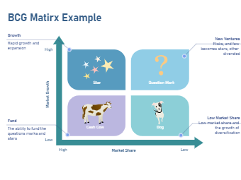 how to make bcg matrix