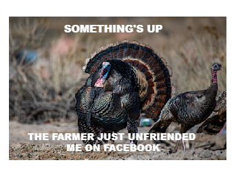 Thanksgiving Meme Turkey