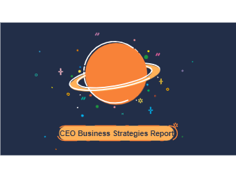 Ceo Buisness Strategies Report