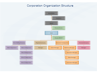 Corporation Organization Structure