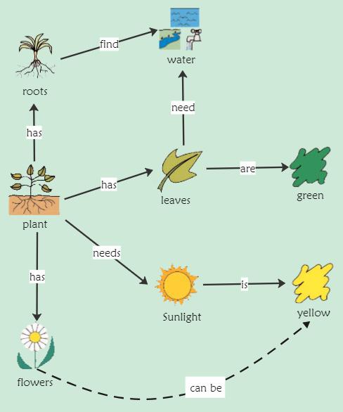 Plant Concept Map