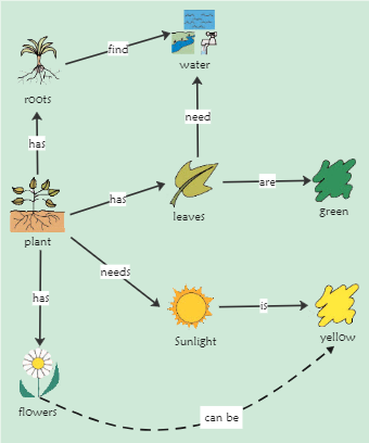 Plant Concept Map