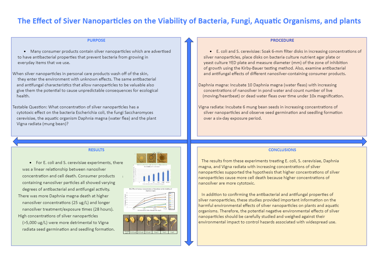 Science Fair Project Report