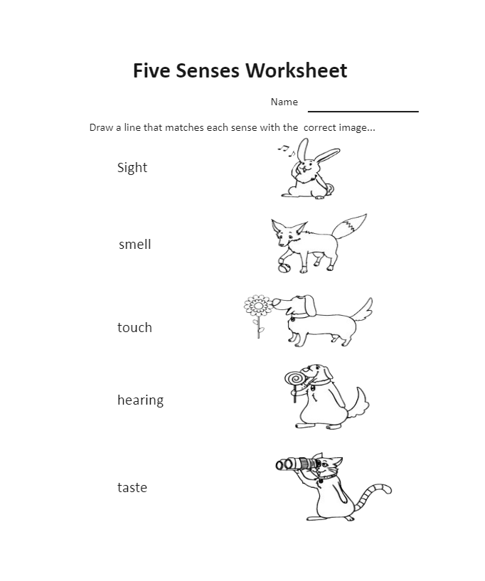 Science Worksheet for Kindergarten 3
