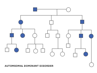 Automsomal dominant disorder