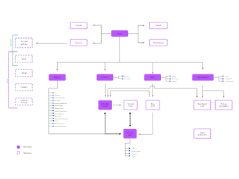 Design Website Structure | EdrawMax Templates