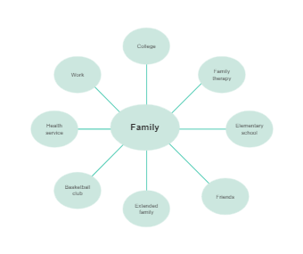 Family Ecomap