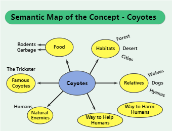 Semantic map of the concept, coyotes.