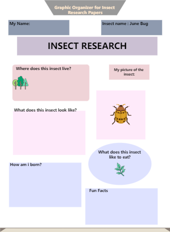 Graphic Organizer for Insect Research Papers