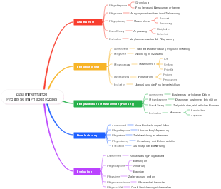 Zusammenhängende Prozesse im Pflegeprozess