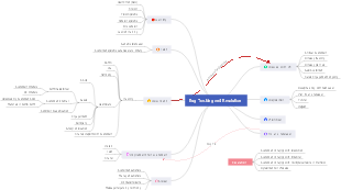 Bug Tracking and Resolution