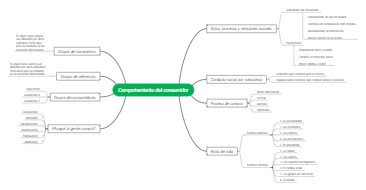 Mind Map Of Consumer Behavior