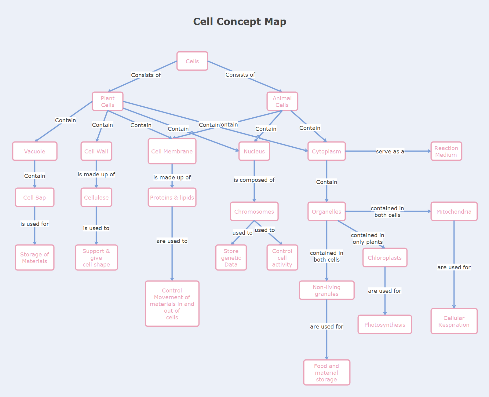 Cell Concept Map