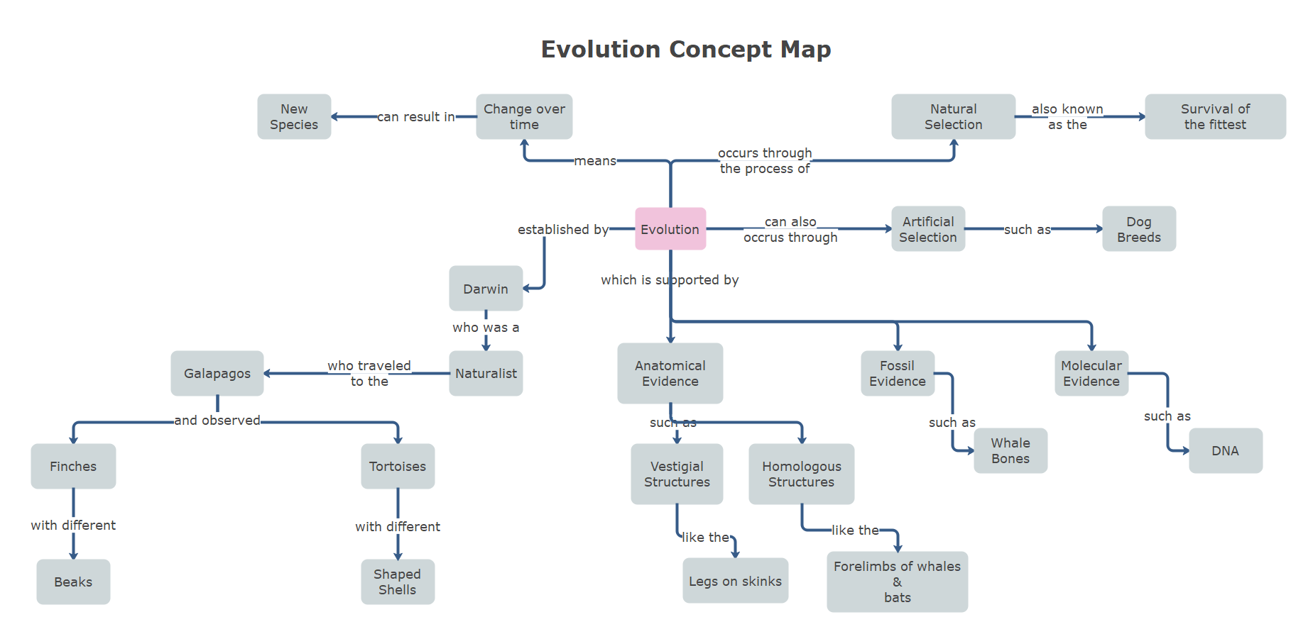 Evolution Concept Map