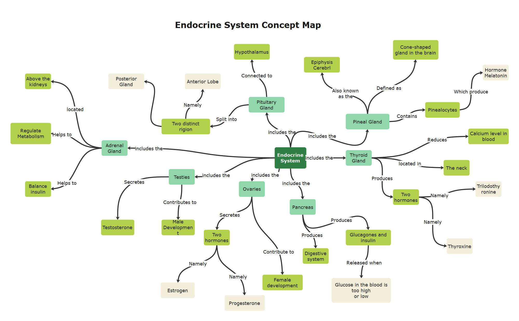 Endocrine System Concept Map