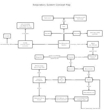 Respiratory System Concept Map Template