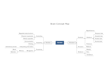 Brain Concept Map Template