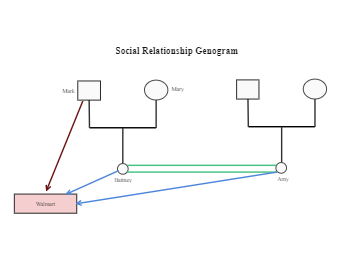 Social Relationship Genogram