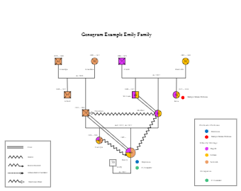 Genogram Example Emily Family