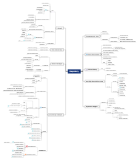 Thoracic Anesthesia and the Respiratory System