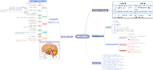 神经系统报告思维导图