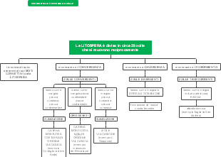Litosfera: Zolle Tettoniche, Movimenti e Formazioni Geologiche