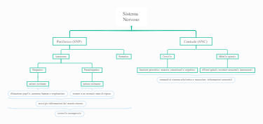 Sistema Nervoso