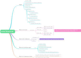 Analisi Transazionale: Origini, Struttura e Processi