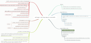 Sviluppo del Linguaggio e Cervello: Aree Cerebrali e Linguaggio Animale
