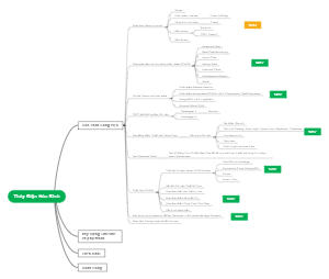 Thủy Điện Hòa Bình: Bóc Tách Công Việc và Quản Lý Dữ Liệuh