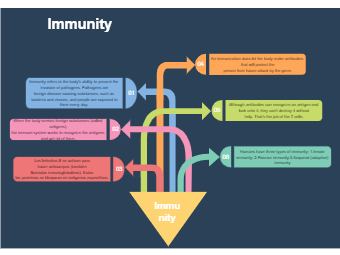 Immunity Diagram