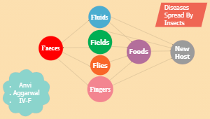 Anvi Aggarwal IV-F Diseases Spread By Insects