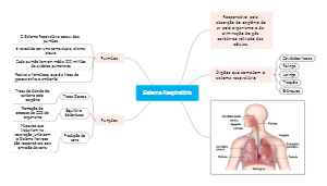 Sistema Respiratório