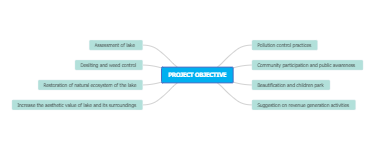 PROJECT OBJECTIVE